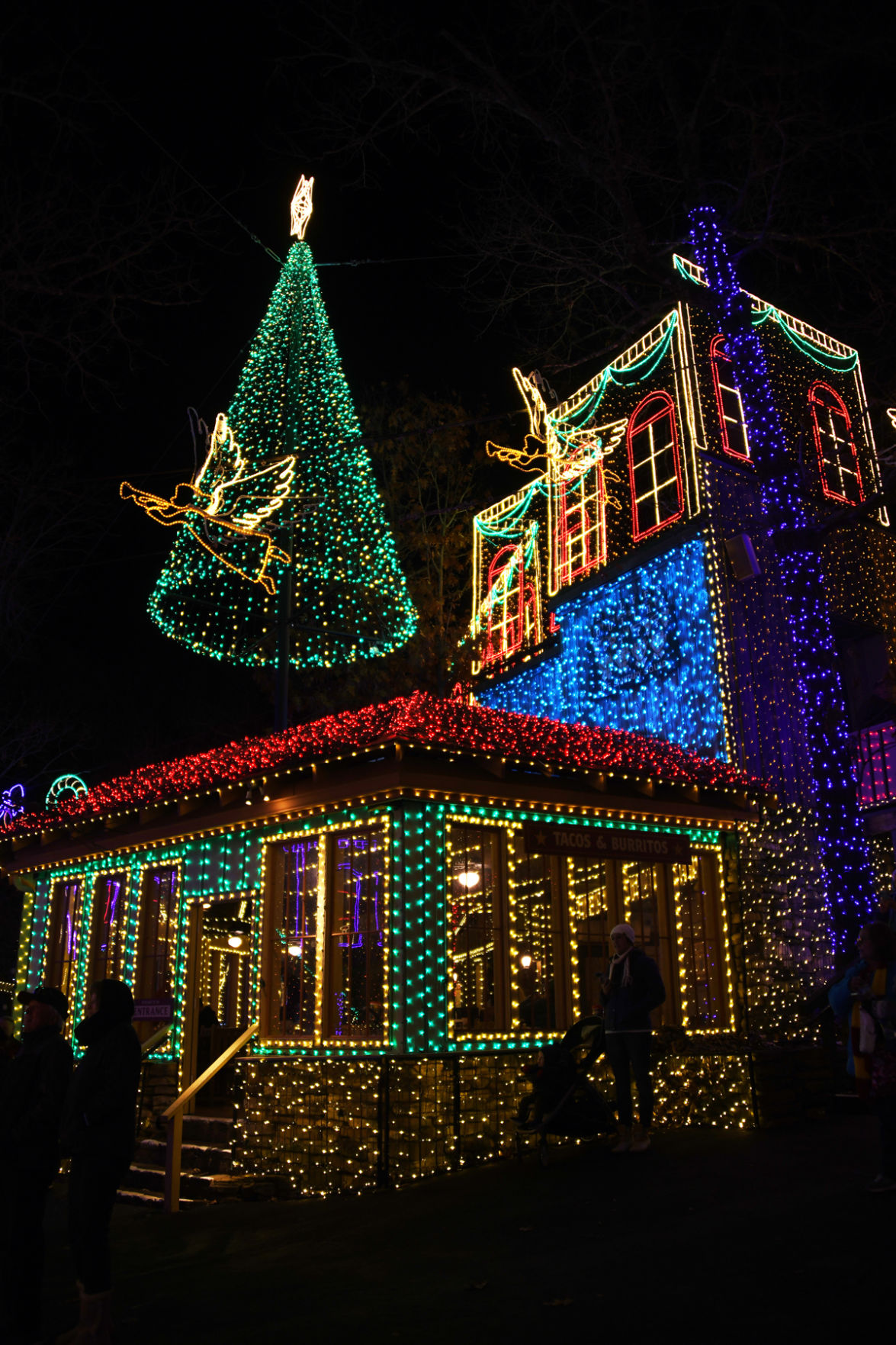 147 Christmas Lights at Silver Dollar City.jpg